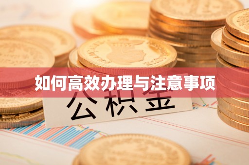 外埔如何高效办理与注意事项