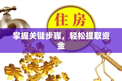 外埔掌握关键步骤，轻松提取资金