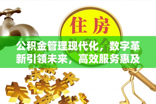 外埔公积金管理现代化，数字革新引领未来，高效服务惠及民生