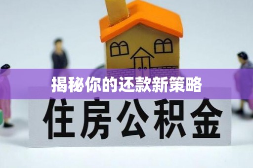 外埔揭秘你的还款新策略