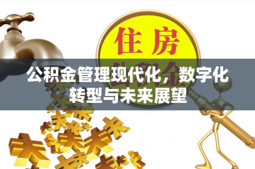 外埔公积金管理现代化，数字化转型与未来展望