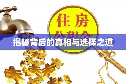 外埔揭秘背后的真相与选择之道