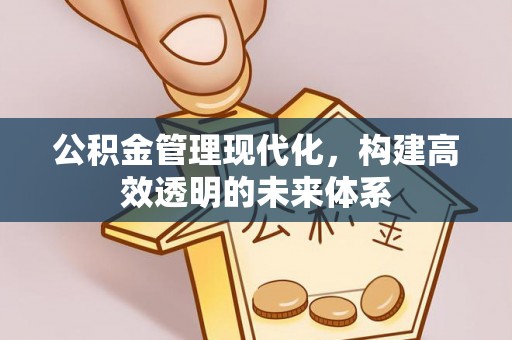 外埔公积金管理现代化，构建高效透明的未来体系