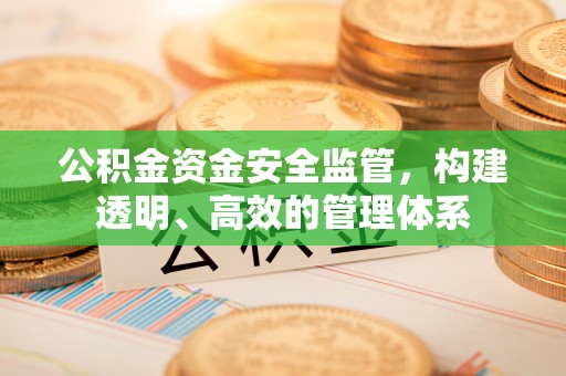 外埔公积金资金安全监管，构建透明、高效的管理体系