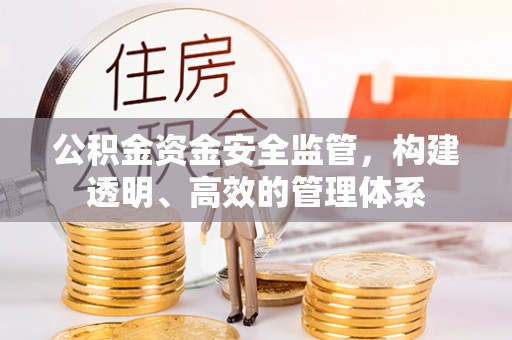 外埔公积金资金安全监管，构建透明、高效的管理体系
