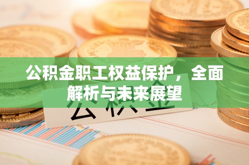 外埔公积金职工权益保护，全面解析与未来展望