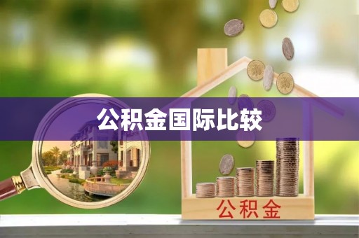 外埔公积金国际比较