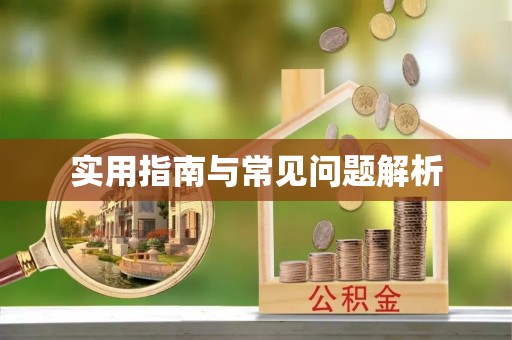 外埔实用指南与常见问题解析