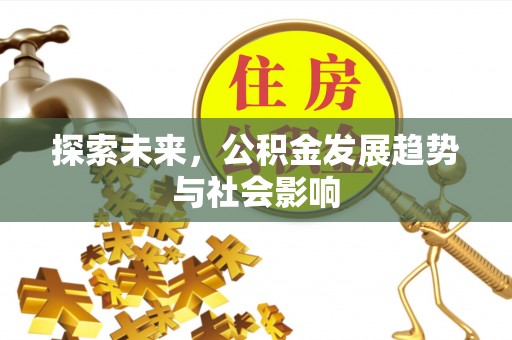 外埔探索未来，公积金发展趋势与社会影响