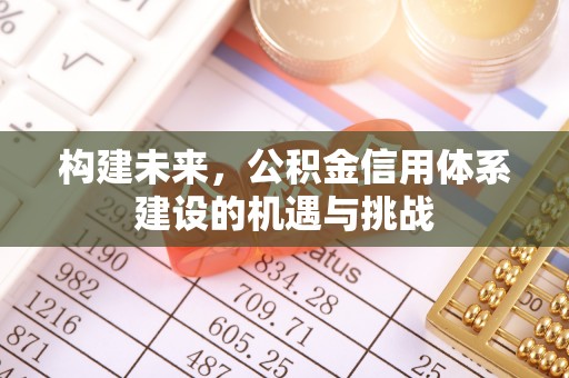 外埔构建未来，公积金信用体系建设的机遇与挑战