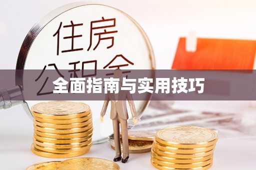 外埔全面指南与实用技巧
