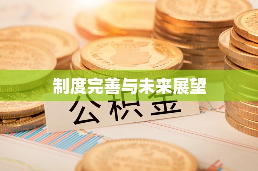 外埔制度完善与未来展望