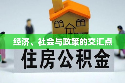 外埔经济、社会与政策的交汇点