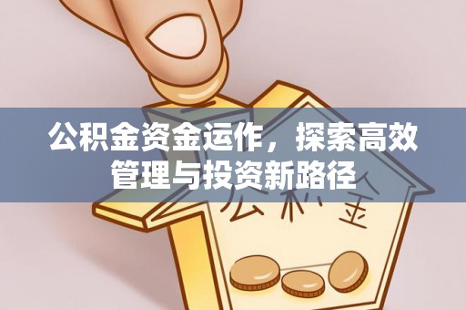 外埔公积金资金运作，探索高效管理与投资新路径