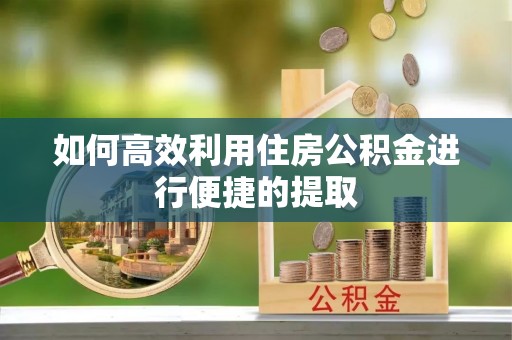 外埔如何高效利用住房公积金进行便捷的提取