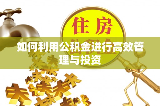 外埔如何利用公积金进行高效管理与投资