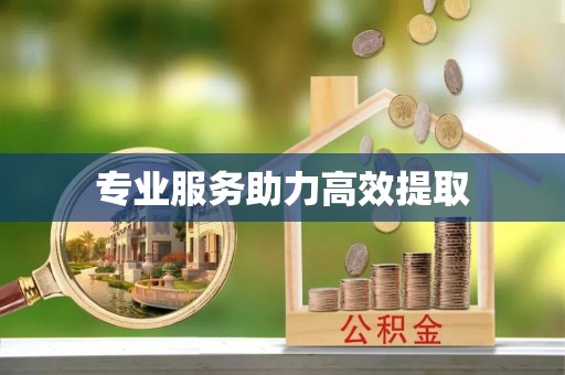 外埔专业服务助力高效提取