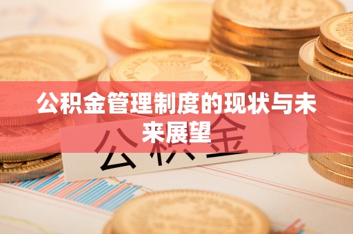 外埔公积金管理制度的现状与未来展望